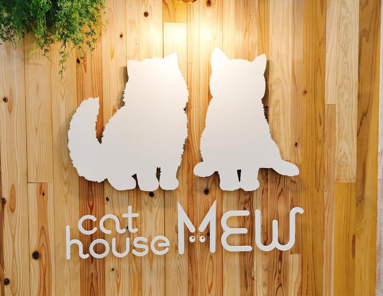 宮崎市に新たな猫カフェ「cat house MEW」オープン